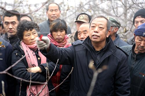“铁人”李保国：“活着干，死了算”