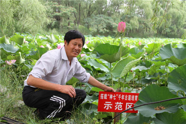 lotus1