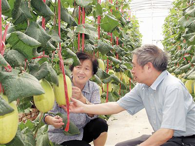 Wu Mingzhu: Queen of the Chinese Melon