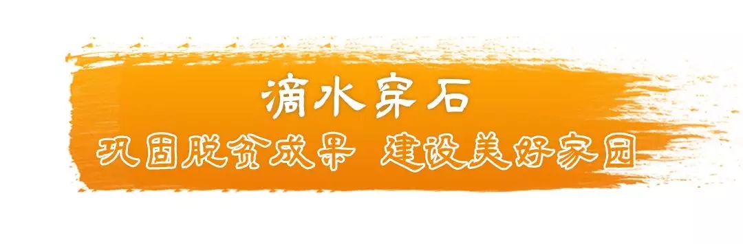 《2019·习近平的信札》之下党乡亲篇丨此情绵长暖茶乡