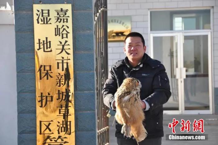 图为在湿地公园放飞翅膀康复的猫头鹰。(资料图)