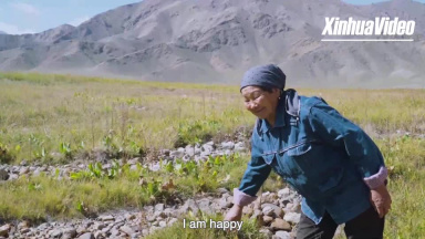 The Xinjiang woman who safeguards ancient creatures 
